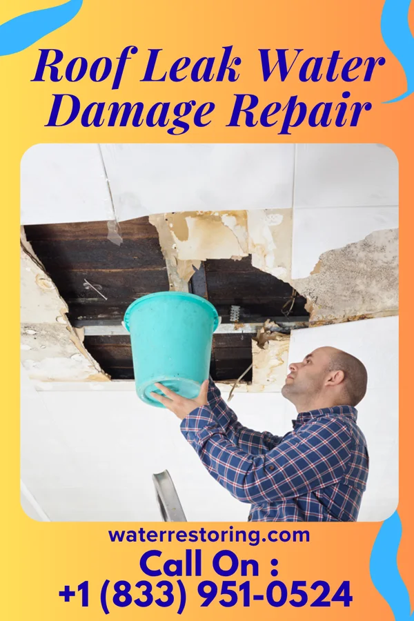 Roof Leak Water Damage Repair in Leaf, MS