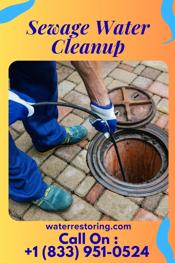 Sewage Water Cleanup in Leaf, MS