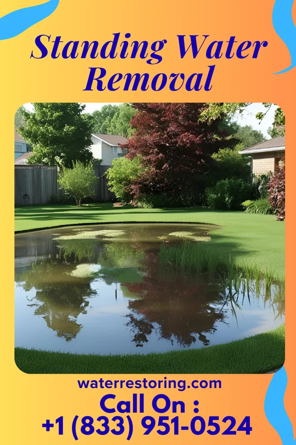 Standing Water Removal in Leaf, MS